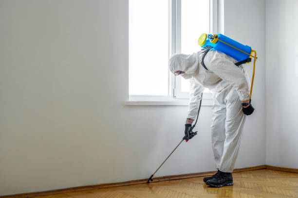 Best Mosquito Control Services  in Anthony, NM